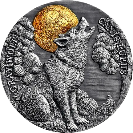 Монета "Серый волк",  2020 г., Серебро, 62,2 гр., проба 999, НИУЭ