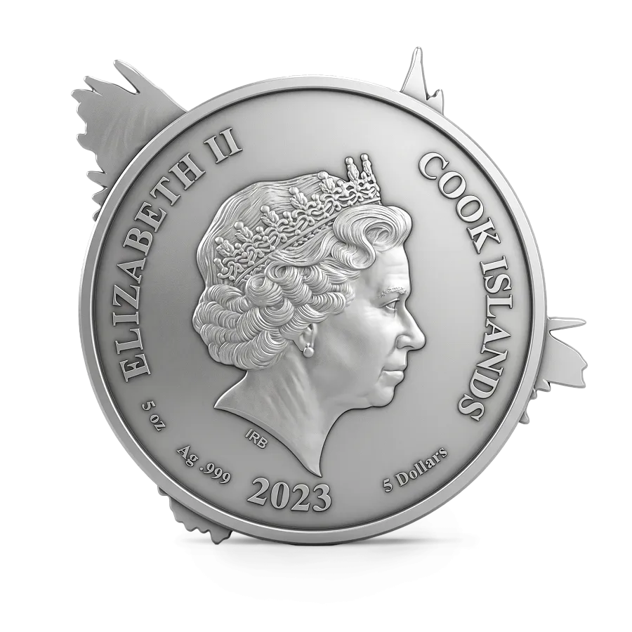 Монета "Гарри Поттер и сова",  2023 г., Серебро, 155,5 гр., проба 999, ОСТРОВА КУКА