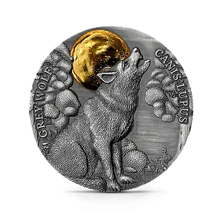 Монета "Волк", 2021 г., Серебро, 15,55 гр., проба 999, ГАНА